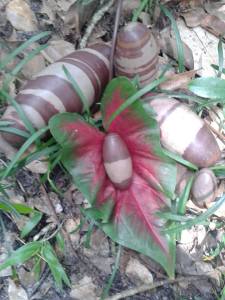 Shiva Lingam available at We Rock Rocks